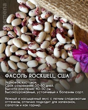 Фасоль Rockwell, США