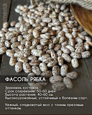 Фасоль Рябка