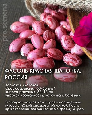 Фасоль Красная шапочка, Россия