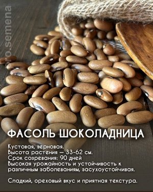 Фасоль Шоколадница, США