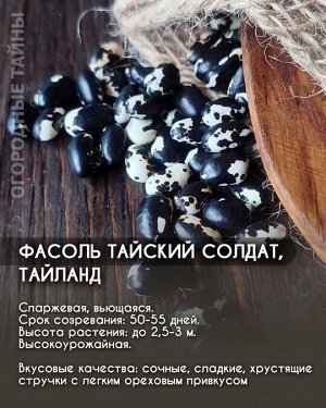 Фасоль Тайский солдат