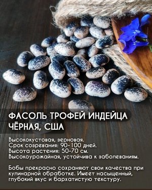 Фасоль Трофей индейца черная, США