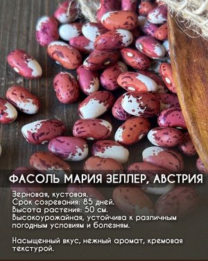 Фасоль Мария Зеллер, Австрия