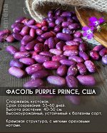 Фасоль Purple Prince, США