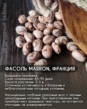 Фасоль Marron, Франция