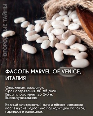 Фасоль Marvel of Venice, Италия