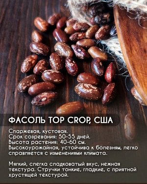 Фасоль Top Crop, США