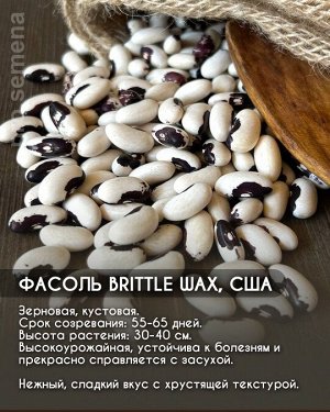 Фасоль Brittle Wax, США