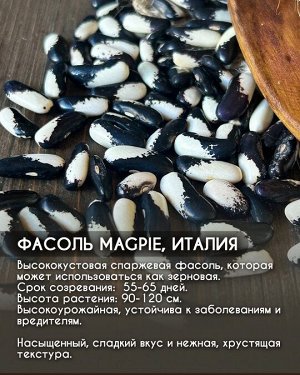 Фасоль Magpie, Италия