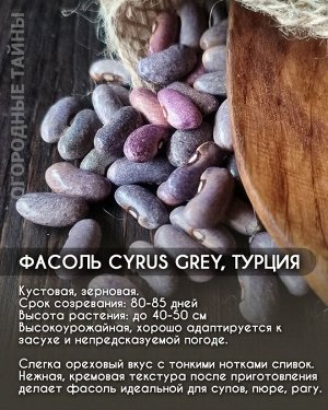 Фасоль Cyrus Grey, Турция