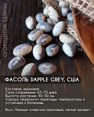 Фасоль Dapple Grey, США