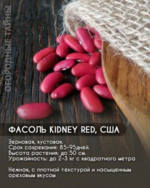Фасоль Kidney Red, США