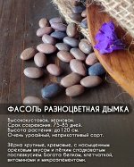 Фасоль Разноцветная дымка