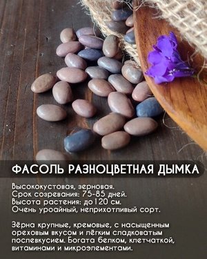 Фасоль Разноцветная дымка