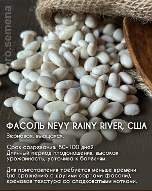 Фасоль Nevy Rainy River, США