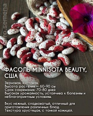 Фасоль Minnisota Beauty, США
