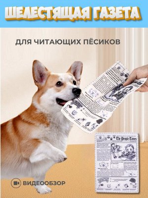 Шелестящая газета