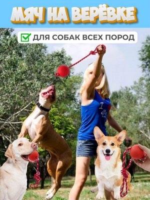 Мяч на веревке
