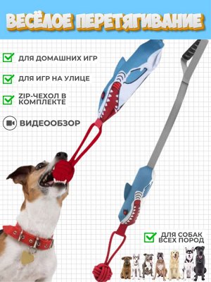 Весёлое перетягивание