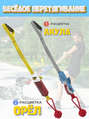 Весёлое перетягивание