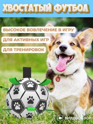 Хвостатый футбол