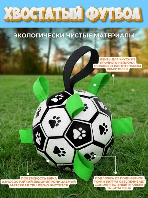 Хвостатый футбол