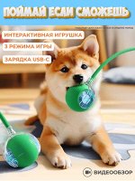 Поймай если сможешь