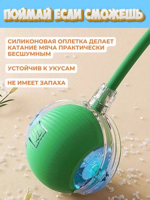 Поймай если сможешь