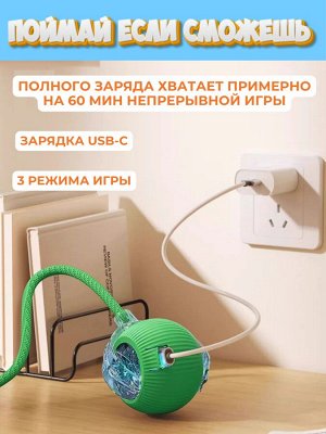 Поймай если сможешь