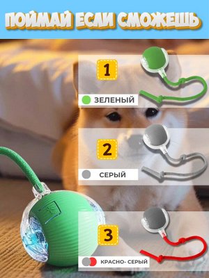 Поймай если сможешь
