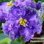 ND - Саяны