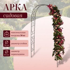 Арка садовая, 240 x 125 x 36.5 см, для вьющихся растений, металлическая, цвет бронзовый антик