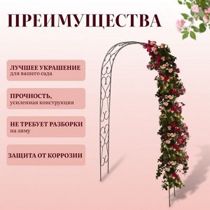 Арка садовая, 240 x 125 x 36.5 см, для вьющихся растений, металлическая, цвет бронзовый антик