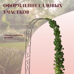Арка садовая, 240 x 125 x 36.5 см, для вьющихся растений, металлическая, цвет бронзовый антик