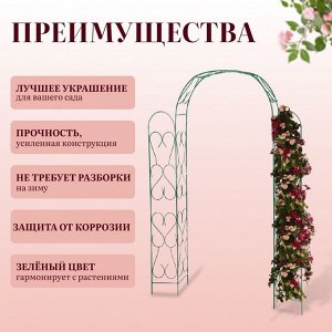 Арка садовая, 230 * 125 * 36,5 см, для вьющихся растений, металлическая, зелёная