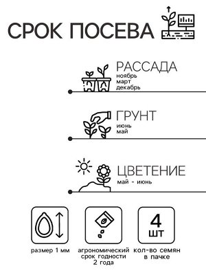 Семена Виола "Сорбет XP Беконсфилд", ц/п,  F1, 4 шт.
