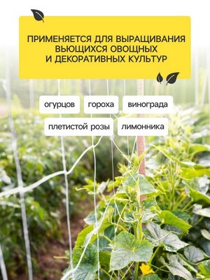 Сетка садовая для огурцов, шпалерная, 10x2 м, ячейка 15x15 см, Greengo