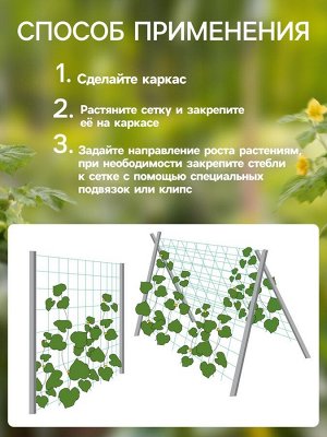 Сетка садовая для огурцов, шпалерная, 10x2 м, ячейка 15x15 см, Greengo