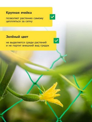 Сетка садовая для огурцов, шпалерная, 10x2 м, ячейка 15x15 см, Greengo