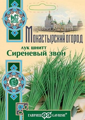 Лук шнитт Сиреневый Звон (Код: 93256)
