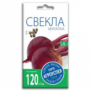 Свекла Мулатка, семена Агроуспех 2г (80)