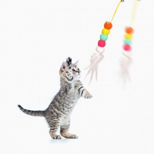 Игрушка для кошек, котят, подвесная, 1 шт., в ассортименте