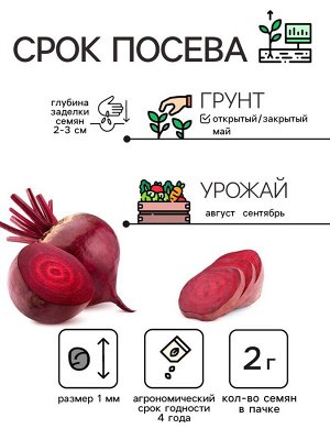 Семена Свекла столовая "Червона Кула", 2 г