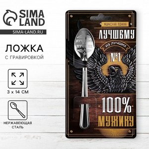 Ложка чайная с гравировкой «100% мужику», 3x14 см
