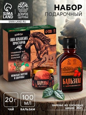 Подарочный набор «23 февраля »: чай травяной 20г., бальзам с шиповником 100мл., варенье из сосновых шишек 30г.