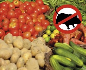 Ультразвуковой отпугиватель насекомых и грызунов. 220В. Площадь до 120м2. С подсветкой. Белый. UDR-E15 WHITE
