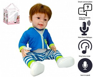 Велосипеды и игрушки Кукла в наборе OBL10049784 AD8817-10Q (1/12)
