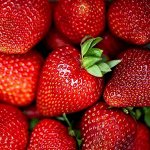 Клубника ремонтантная