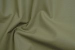 CREDO olive