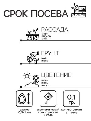 Семена цветов Незабудка "Голубые глазки", Мн, 0,1 г
